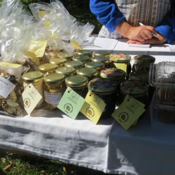 Mlinarjeva pot 14.09.2013 64